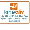 Kinealiv Talca